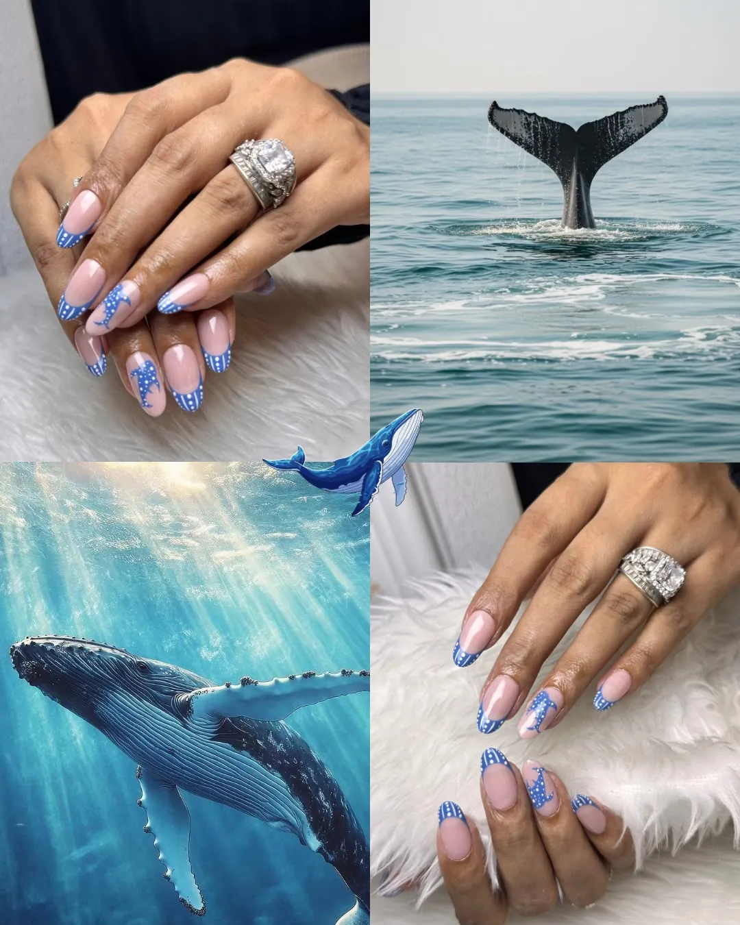 Daisy mood board pairing blue dot French tips and whale nail art with ocean imagery